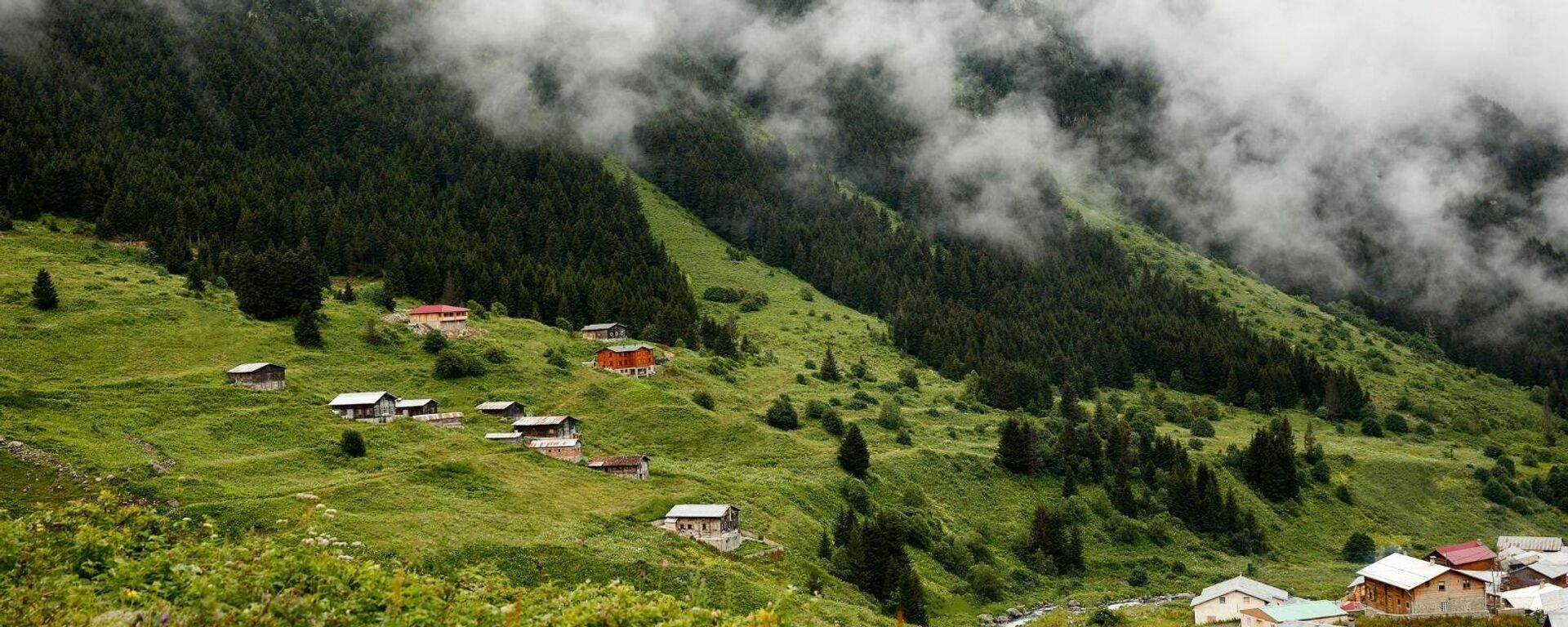 karadeniz yayla - Sputnik Türkiye, 1920, 27.10.2025