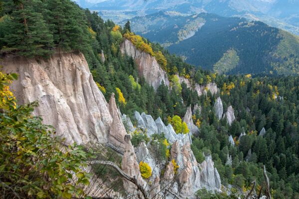 Trabzon ve Artvin’in yüksek kesimlerinde yer alan yaylalar, sonbaharın gelişiyle birlikte adeta renk cümbüşüne dönüştü. - Sputnik Türkiye