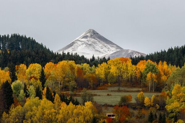 Trabzon ve Artvin’in yüksek kesimlerinde yer alan yaylalar, sonbaharın gelişiyle birlikte adeta renk cümbüşüne dönüştü. - Sputnik Türkiye