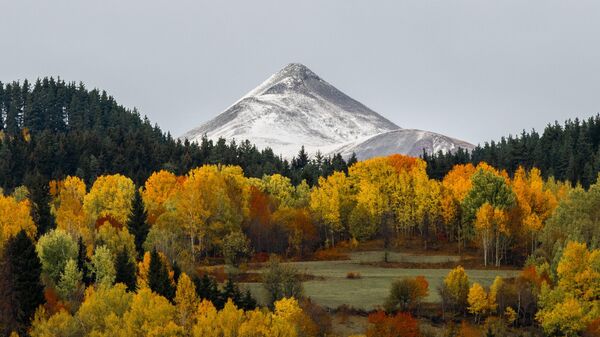 Karadeniz yaylalarında sonbahar renkleri hakim oldu - Sputnik Türkiye
