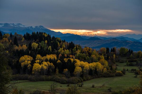 Özellikle Trabzon’un Hıdırnebi, Kadırga ve Kayabaşı ile Artvin’in Macahel ve Borçka Karagöl çevresi, sonbahar renklerini görmek isteyen ziyaretçilerin ilgisini çekiyor. - Sputnik Türkiye