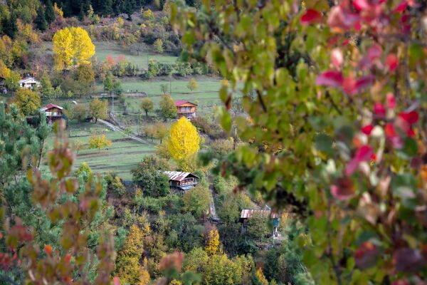 Ağaçlarda yeşil tonların yerini sarı, turuncu ve kızıl renklerin almasıyla bölge, doğa tutkunlarının gözde rotalarından biri haline geldi. - Sputnik Türkiye