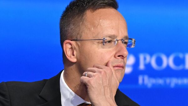 Macaristan Dışişleri ve Dış Ticaret Bakanı Peter Szijjarto - Sputnik Türkiye