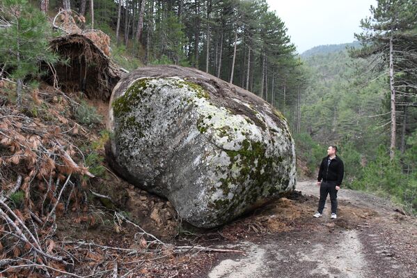 Tunçer yolu kapatan dev kayayı Emet Orman İşletme Müdürlüğü yetkililerine bildirdi. - Sputnik Türkiye