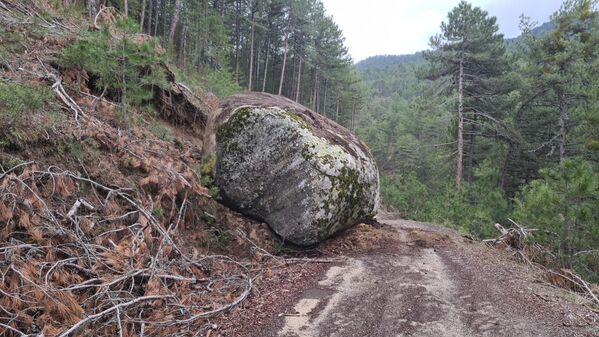 Emet'e 10 kilometre uzaklıktaki Yenice köyü yakınlarındaki ormanlık alana mantar toplamak için giden Aziz Tunçer isimli adam yolu kapatan tonlarca ağırlıktaki dev kayayı gördü. - Sputnik Türkiye