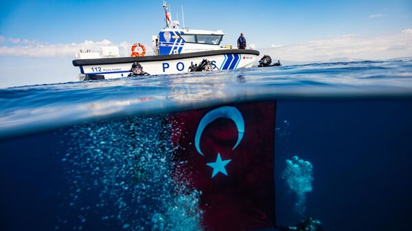 Türk bayrağı - Sputnik Türkiye