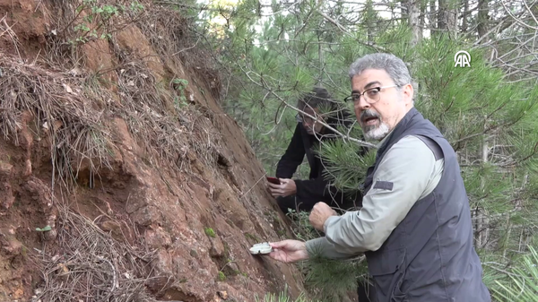 Hasan Sözbilir - Sputnik Türkiye