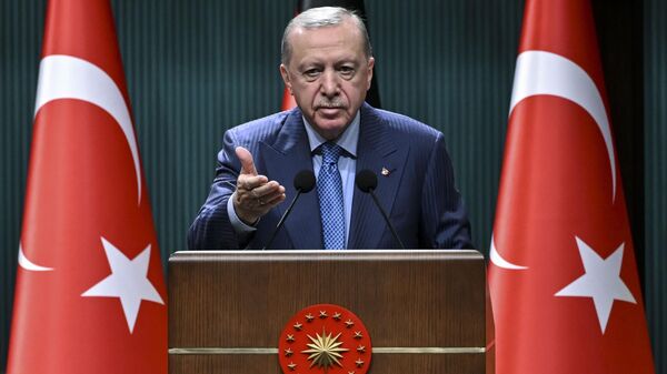 Erdoğan - Sputnik Türkiye