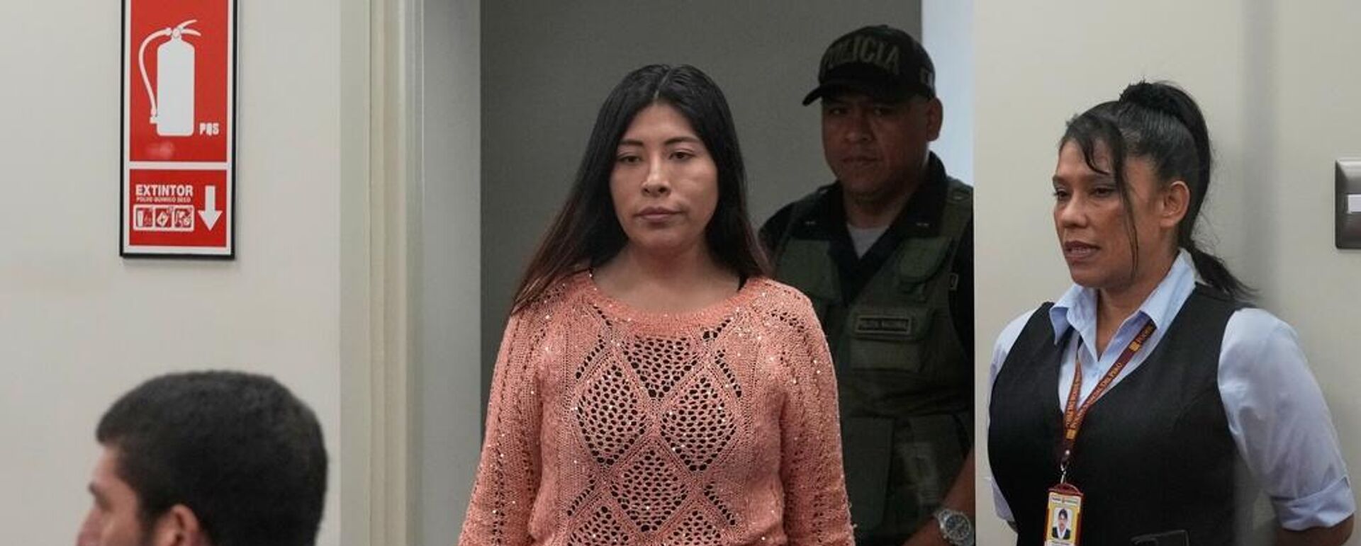 Eski Peru Başbakanı Betssy Chavez - Sputnik Türkiye, 1920, 04.11.2025