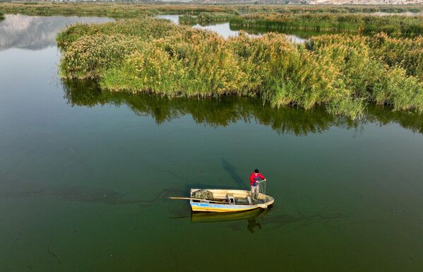 Küçük Menderes Havzası&#x27;nda yer alan, büyük kısmı sazlıklarla kaplı olan ve bu sayede canlılar için barınma ve üreme alanı oluşturan göl bir zamanlar, sazan, İzmir kefesi ve tatlı su kefali gibi 12 çeşit balık türünü barındırıyordu.*Fotoğraf, Ekim 2022&#x27;de çekilmiştir. - Sputnik Türkiye