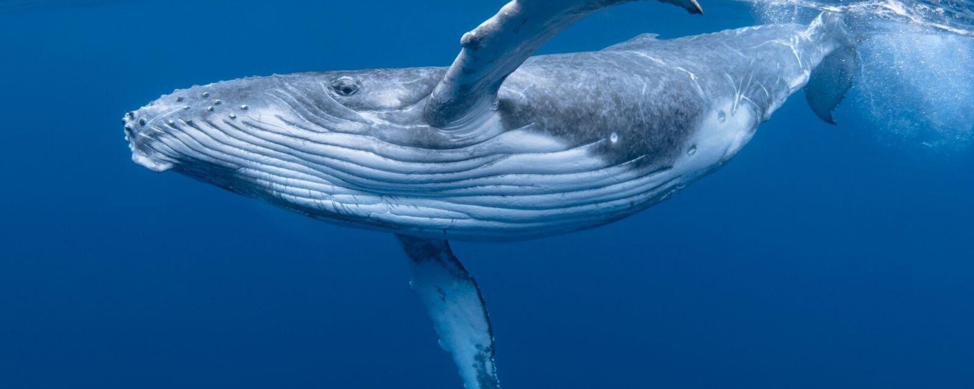 Arşiv fotoğraf - Sputnik Türkiye, 1920, 06.01.2026