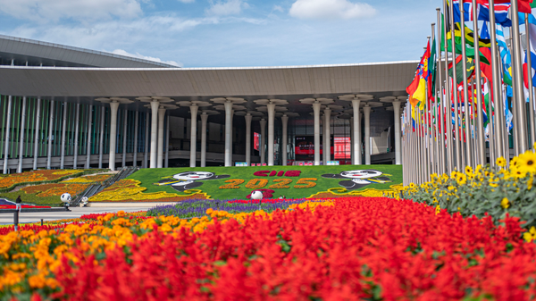 8. Çin Uluslararası İthalat Fuarı - Sputnik Türkiye