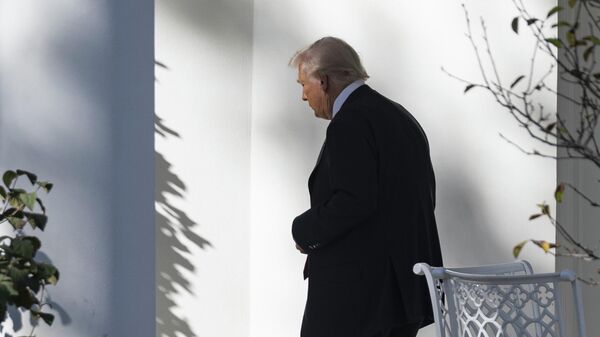  Donald Trump  - Sputnik Türkiye