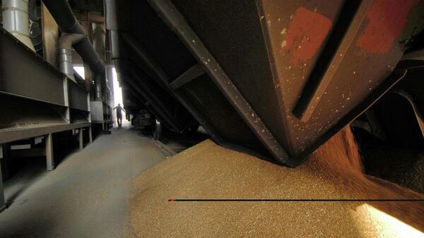 Работа зернового терминала в порту Новороссийска - Sputnik Türkiye