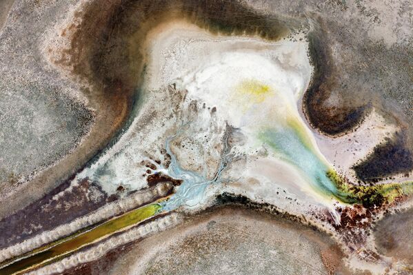 Bir zamanlar yüzlerce göçmen kuş türüne ev sahipliği yapan bu doğal alan, su seviyesinin düşmesiyle büyük oranda kurudu ve yalnızca birkaç küçük kuş türü gözlemlenebiliyor.  - Sputnik Türkiye