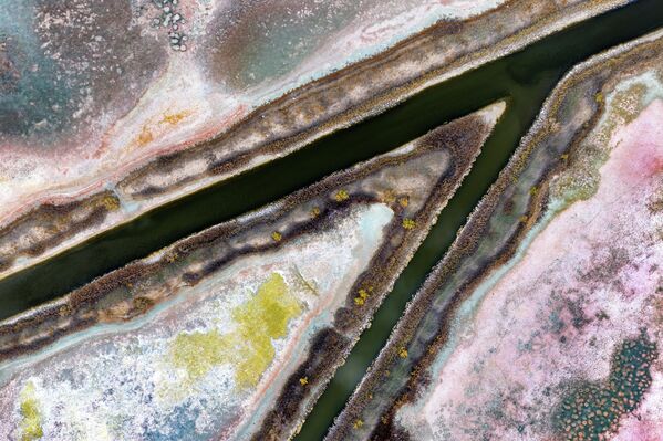 Eskişehir’in Günyüzü ilçesinde yer alan ve “Kavuncu Kuş Cenneti” olarak bilinen gölet, uzun süredir etkili olan kuraklığın etkisiyle eski canlılığını kaybediyor.  - Sputnik Türkiye