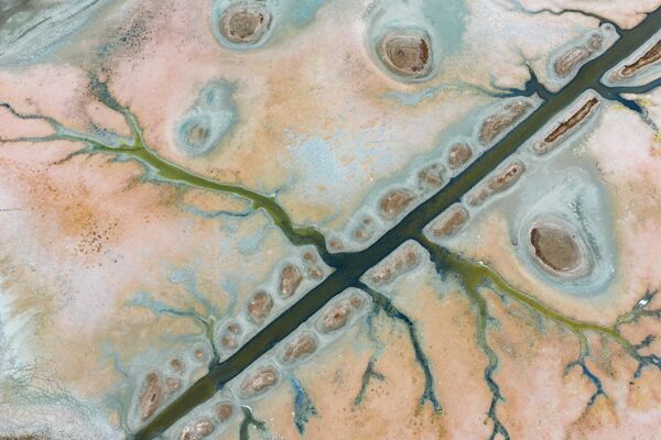 Su kaynaklarındaki azalma, bölgedeki ekosistemi de olumsuz etkilerken, bazı kuş türlerinin göç rotalarını değiştirerek göleti artık tercih etmediği belirtiliyor.  - Sputnik Türkiye