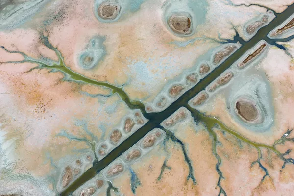 Su kaynaklarındaki azalma, bölgedeki ekosistemi de olumsuz etkilerken, bazı kuş türlerinin göç rotalarını değiştirerek göleti artık tercih etmediği belirtiliyor. Su kaynaklarındaki azalma, bölgedeki ekosistemi de olumsuz etkilerken, bazı kuş türlerinin göç rotalarını değiştirerek göleti artık tercih etmediği belirtiliyor. - Sputnik Türkiye