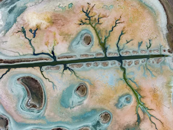 Kavuncu Kuş Cenneti, eskiden olduğu gibi kuşlarla dolu yaşam dolu bir alan olmaktan giderek uzaklaşıyor. Kavuncu Kuş Cenneti, eskiden olduğu gibi kuşlarla dolu yaşam dolu bir alan olmaktan giderek uzaklaşıyor. - Sputnik Türkiye