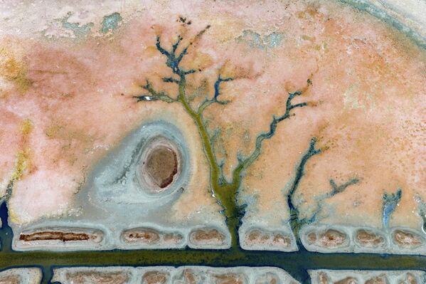 Tarımsal sulama amaçlı gölette sular çekildikten sonra çoğu kuş türünün bölgeyi terk etmesine rağmen angut kuşları göleti süslemeye devam ediyor. - Sputnik Türkiye