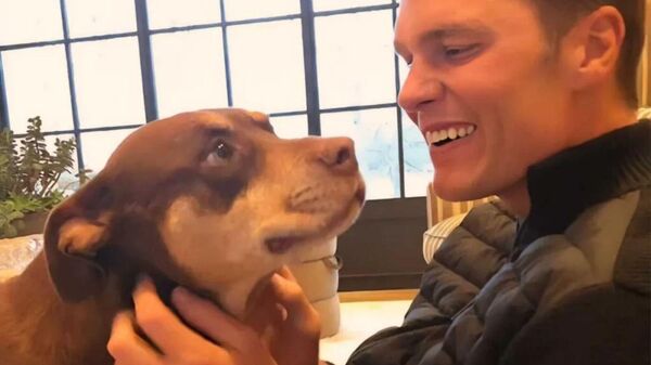 Tom Brady - Sputnik Türkiye