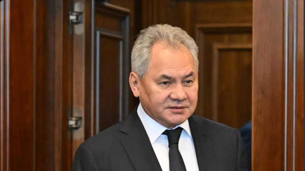 Sergey Şoygu - Sputnik Türkiye