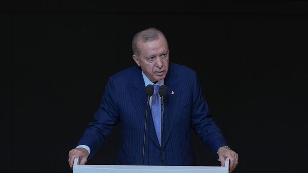 Cumhurbaşkanı Recep Tayyip Erdoğan - Sputnik Türkiye
