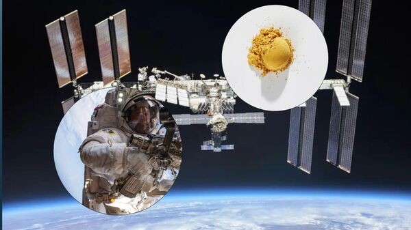 Yeni uzay gıdası ISS'te test edilecek - Sputnik Türkiye