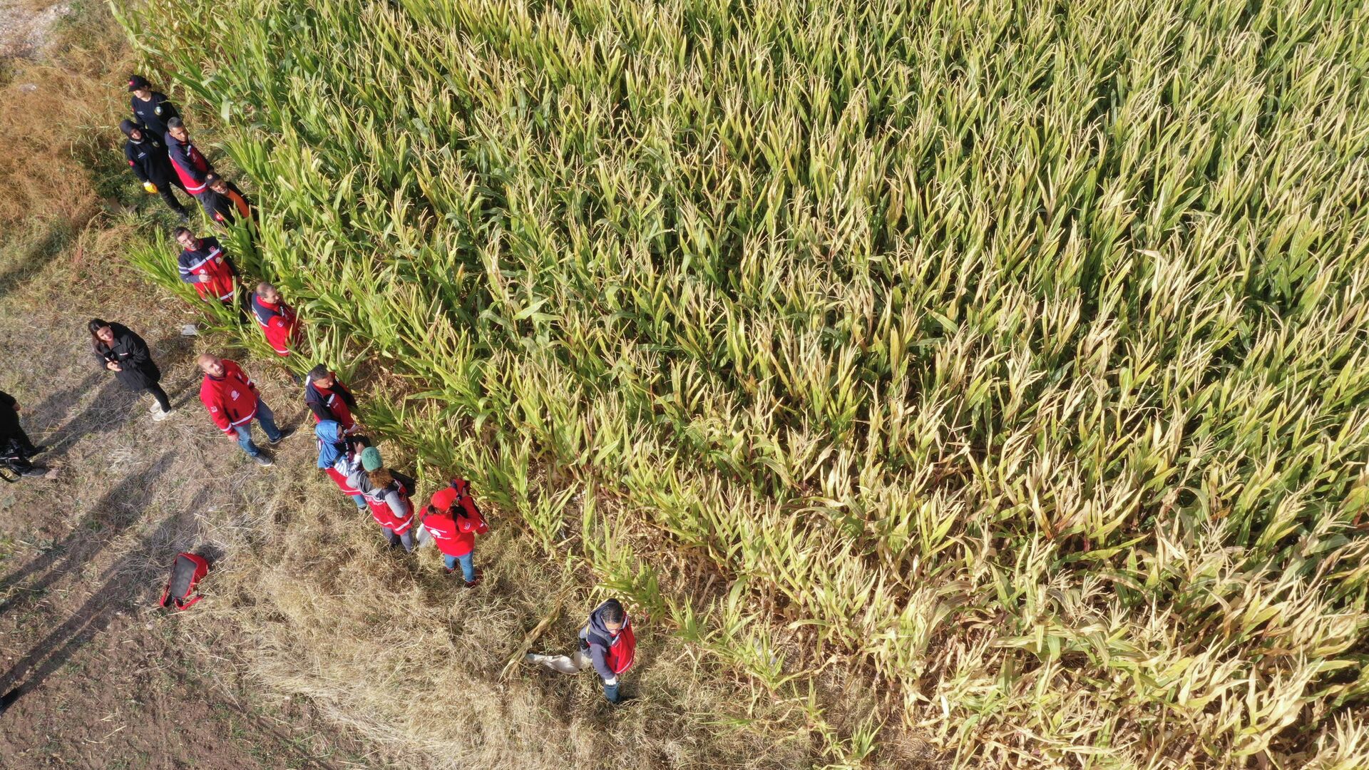 Elazığ'da ailesinin kayıp ihbarında bulunduğu 14 yaşındaki otizmli çocuğu bulmak için başlatılan arama çalışmaları devam ediyor. - Sputnik Türkiye, 1920, 11.11.2025