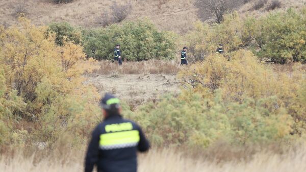 Gürcistan: Düşen askeri kargo uçağıyla ilgili soruşturma Türkiye ile koordineli yürütülüyor - Sputnik Türkiye