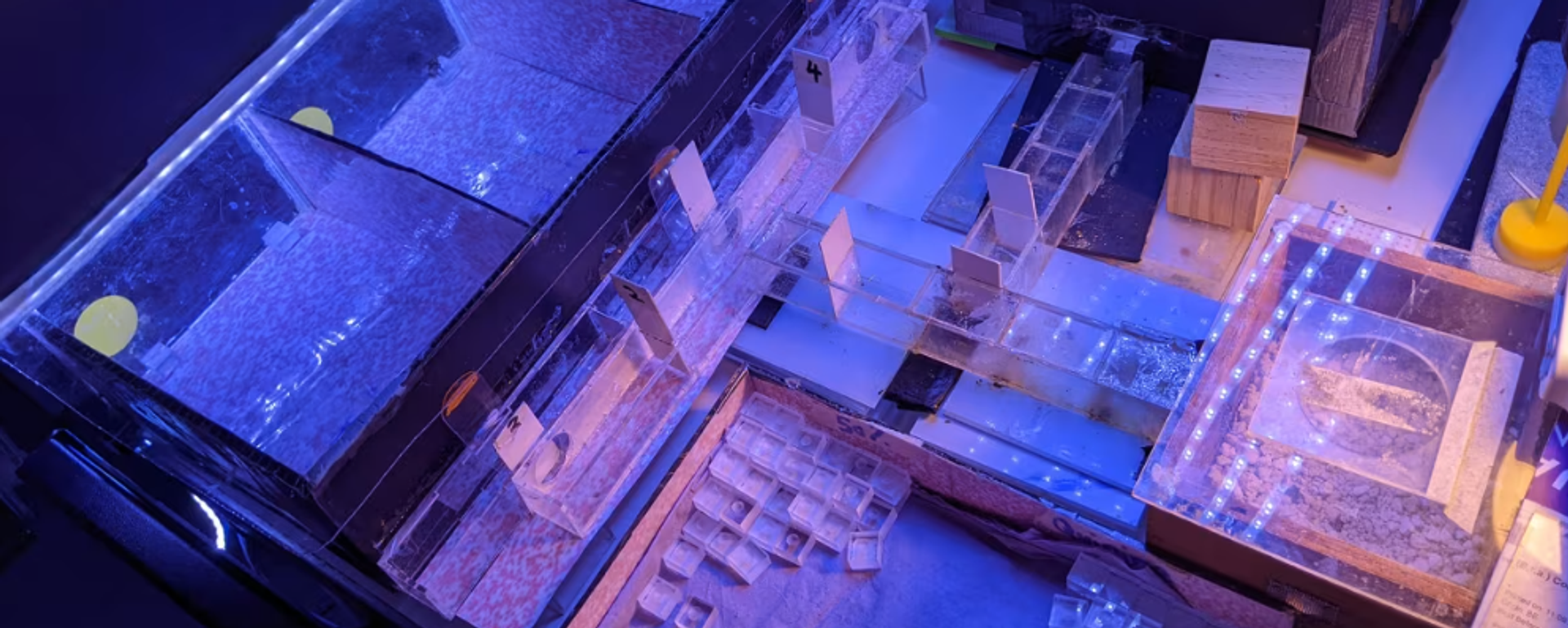 Arılar için oluşturulan deney labirenti - Sputnik Türkiye, 1920, 13.11.2025