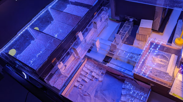 Arılar için oluşturulan deney labirenti - Sputnik Türkiye