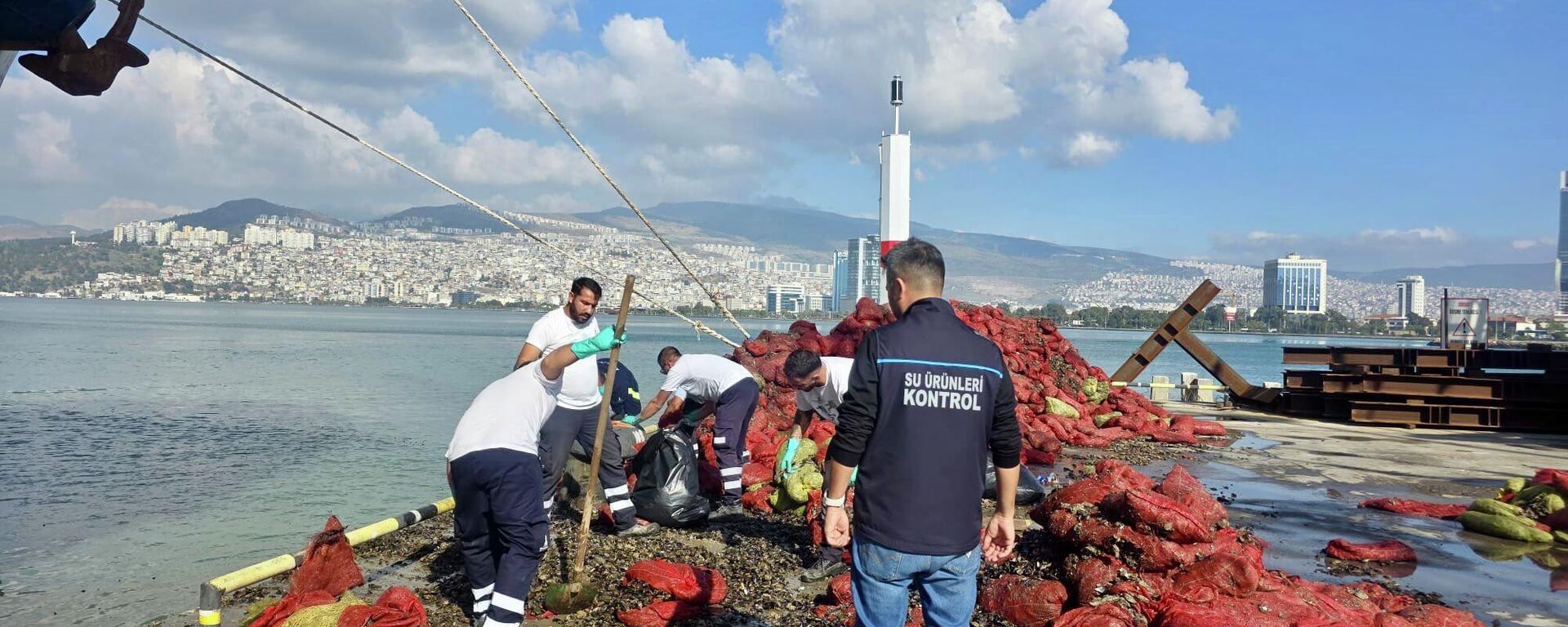 Kaçak midye - Sputnik Türkiye, 1920, 14.11.2025