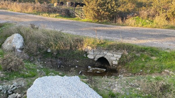 Çanakkale'de boş arazide bebek cesedi bulundu
 - Sputnik Türkiye