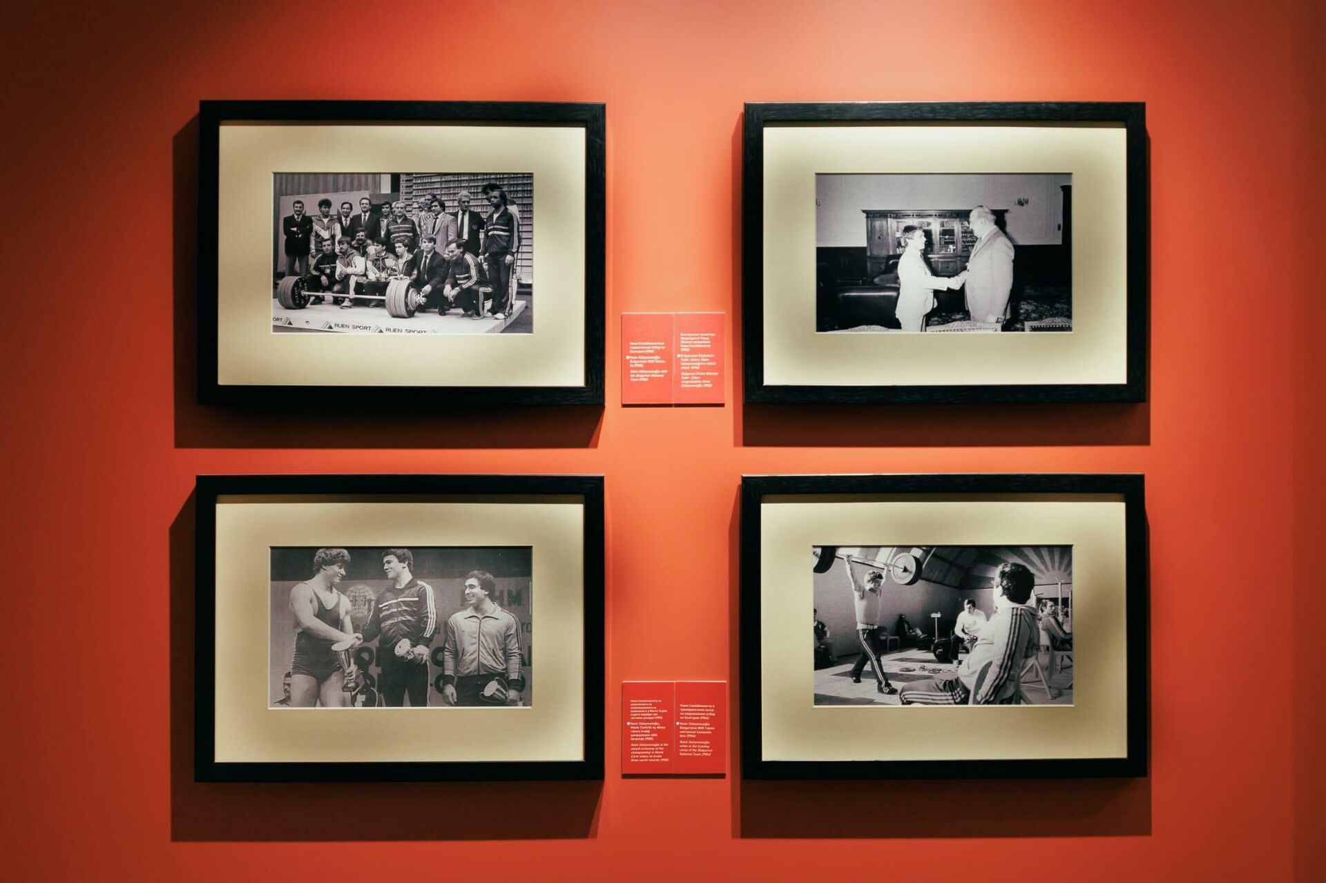 Naim Süleymanoğlu  - Sputnik Türkiye, 1920, 17.11.2025