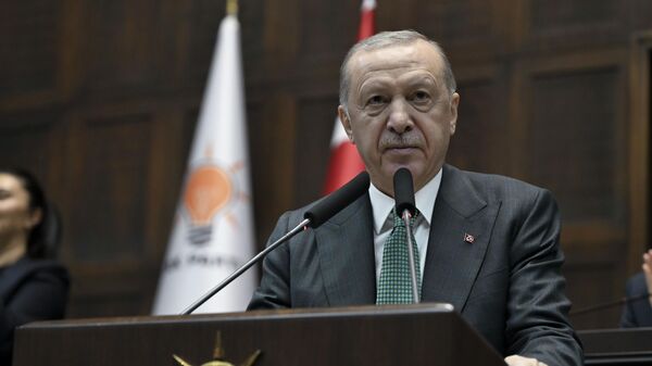 Erdoğan - Sputnik Türkiye