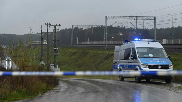 Polonya polisi - Sputnik Türkiye