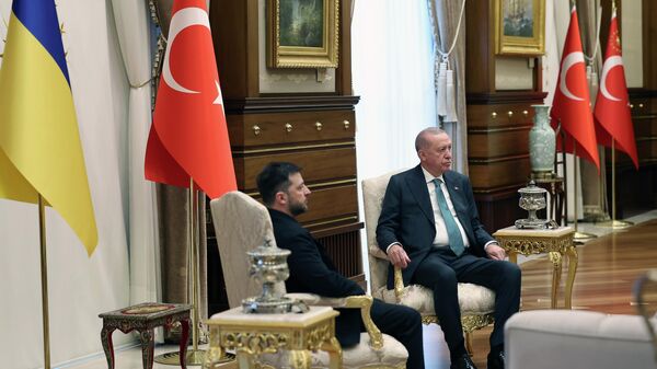 Cumhurbaşkanı Recep Tayyip Erdoğan ve Vladimir Zelenskiy - Sputnik Türkiye
