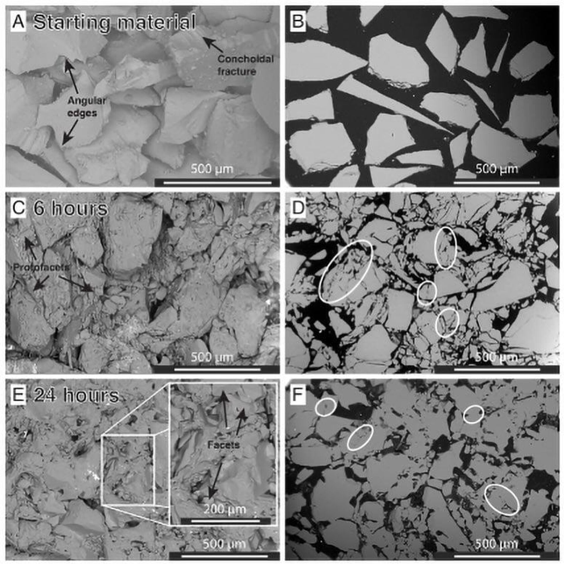Deprem faylarının saatler içinde kendini onardığı keşfedildi - Sputnik Türkiye, 1920, 20.11.2025