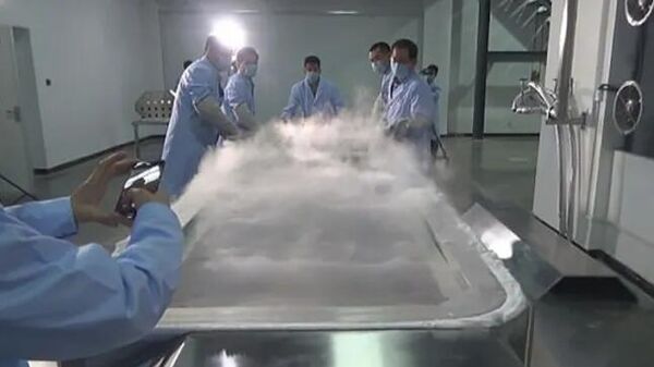 Zhan, krikojeniğe dondurulması için uygulanan prosedürden geçti. - Sputnik Türkiye