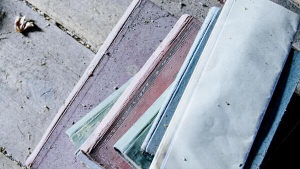 Tavan arasında tesadüfen bulundu, rekor fiyata satıldı: Dünyanın en pahalı çizgi romanı oldu - Sputnik Türkiye