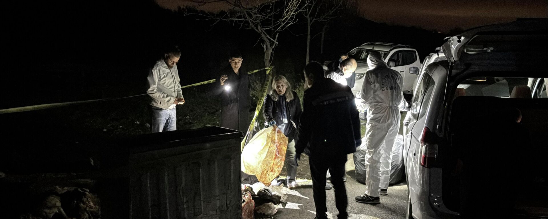 Samsun'un İlkadım ilçesinde 9 köpeğin ölü bulunmasıyla ilgili soruşturma başlatıldı - Sputnik Türkiye, 1920, 25.11.2025