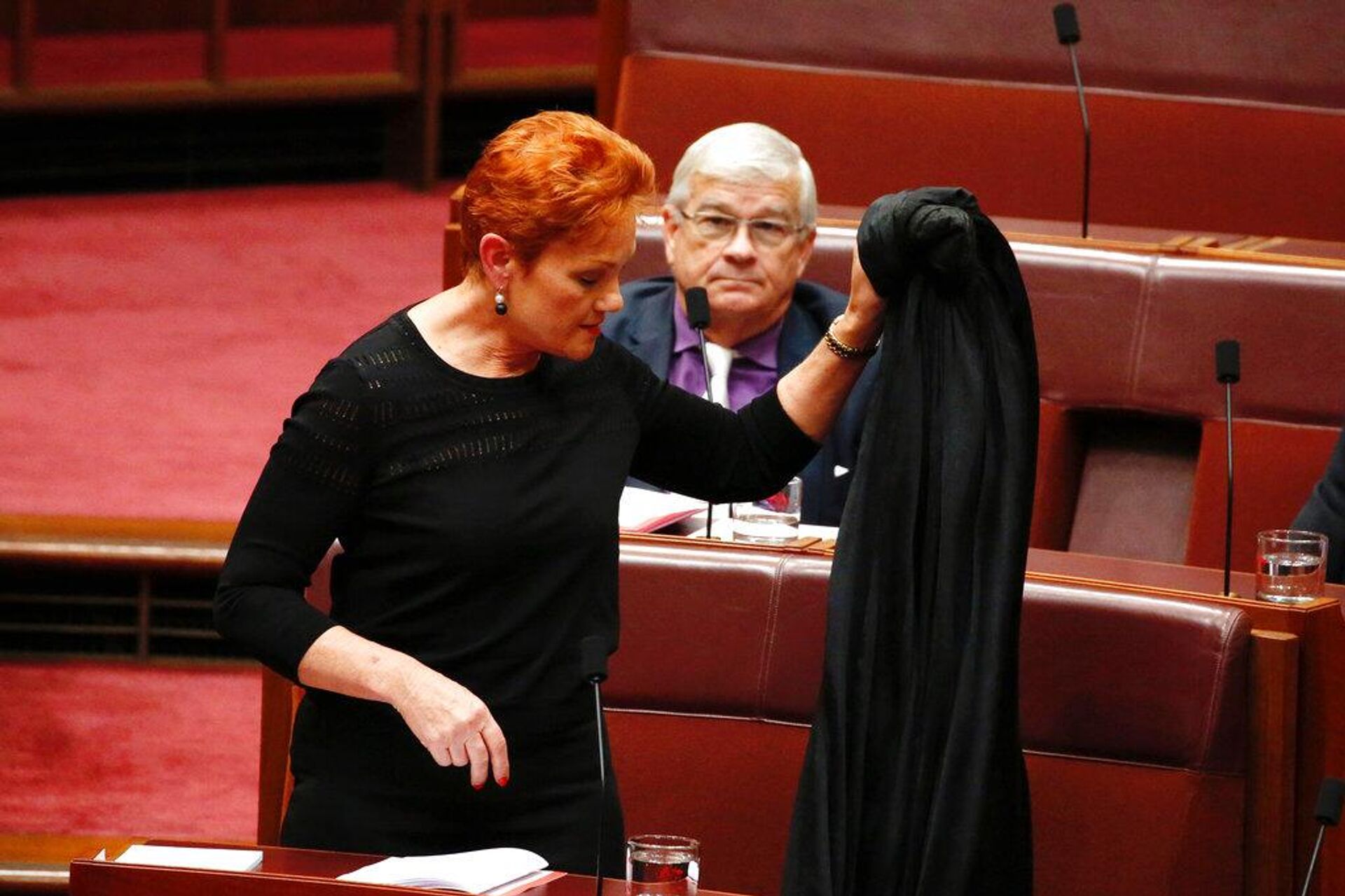 Senator Pauline Hanson, - Sputnik Türkiye, 1920, 25.11.2025