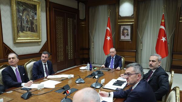 Cumhurbaşkanı Erdoğan, Ukrayna konulu liderler zirvesinin çevrimiçi toplantısına katıldı - Sputnik Türkiye