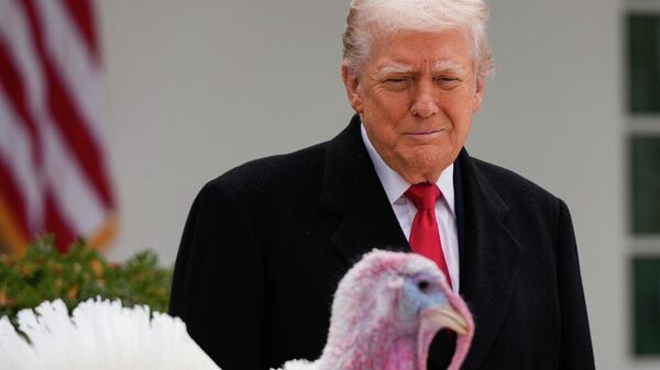 ABD Başkanı Donald Trump, Beyaz Saray’daki geleneksel törende Gobble ve Waddle adlı iki hindiyi affederek Şükran Günü menüsünden ömür boyu muaf tuttu. - Sputnik Türkiye