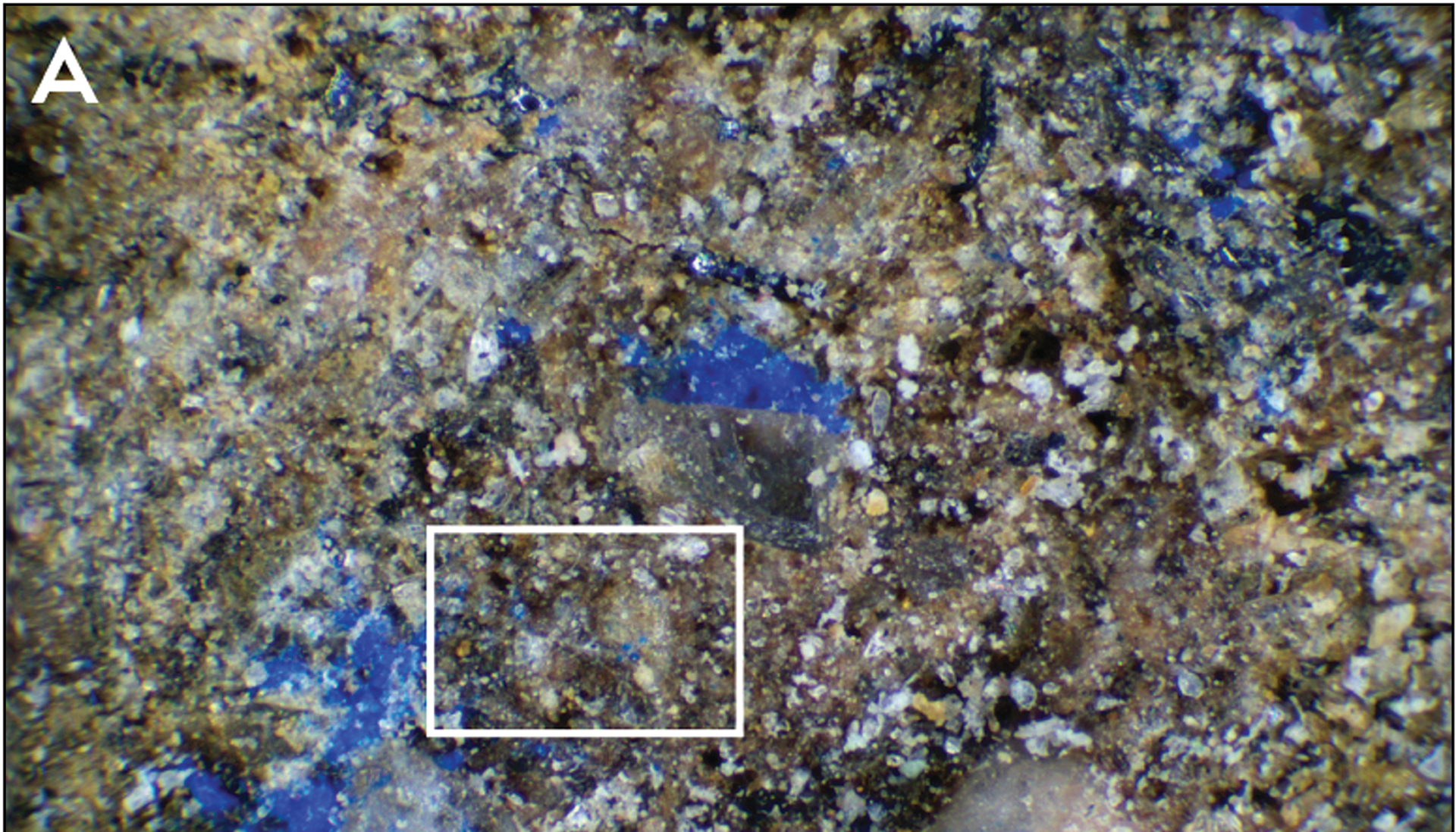 Tarihin rengini değiştirecek: 13 bin yıllık taşta var olmaması gereken bir renk tespit edildi - Sputnik Türkiye, 1920, 27.11.2025
