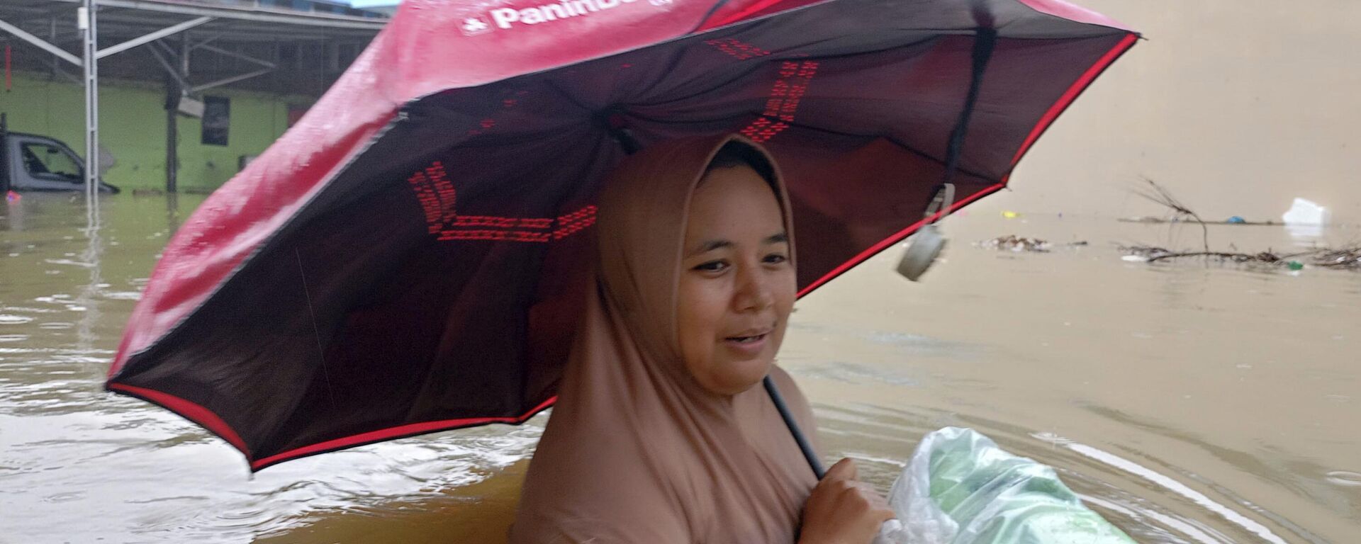 Endonezya'nın Sumatra Adası - Sputnik Türkiye, 1920, 28.11.2025