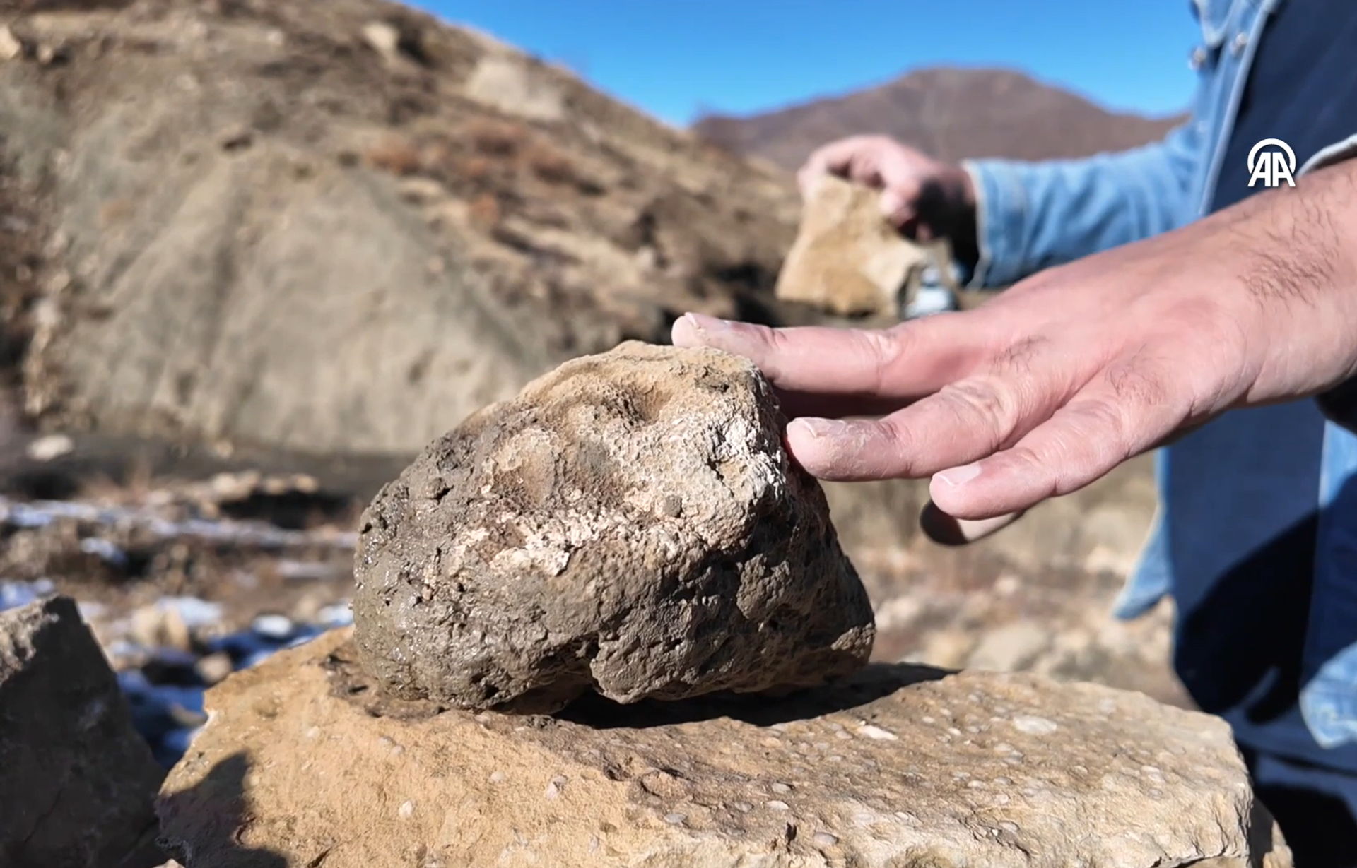 Bingöl fosil - Sputnik Türkiye, 1920, 28.11.2025