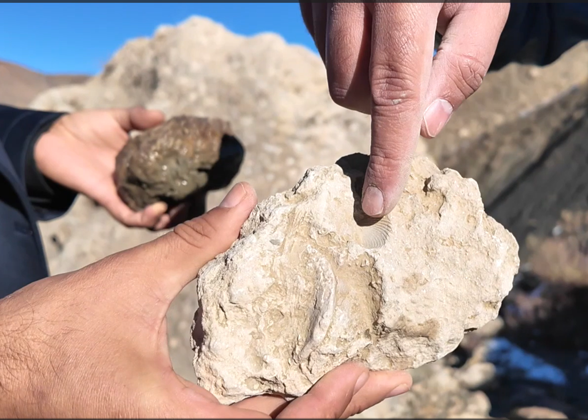 Bingöl kazı - Sputnik Türkiye, 1920, 28.11.2025