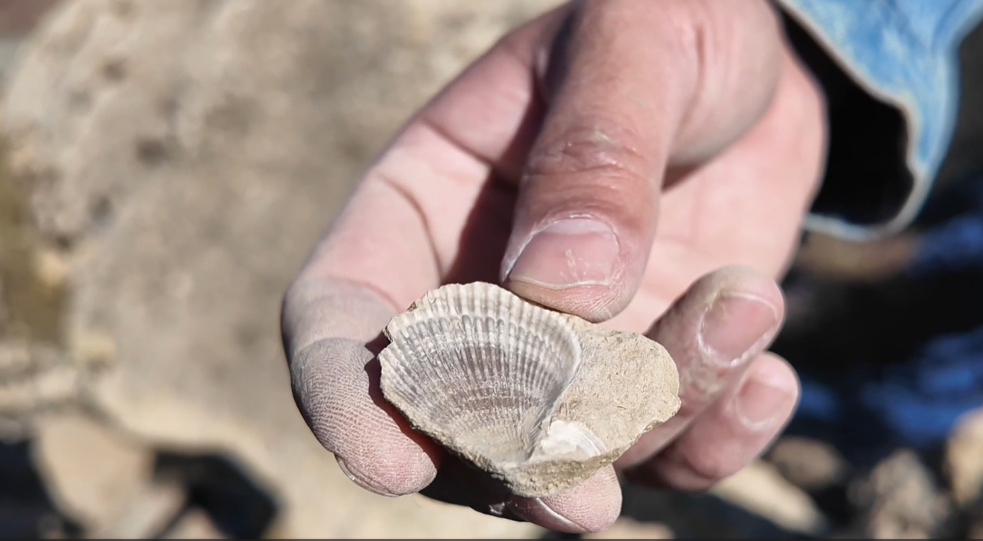 Bingöl kazı - Sputnik Türkiye, 1920, 28.11.2025